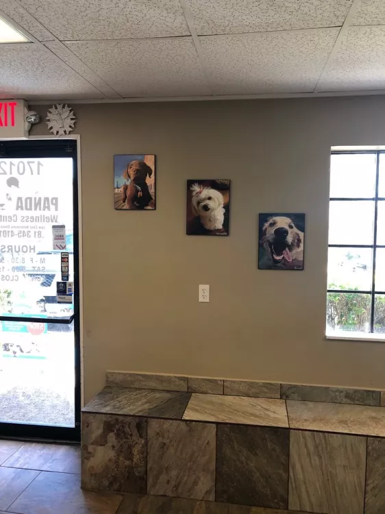 Panda Wellness Center, Texas, Houston